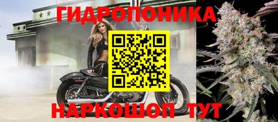 скорость Новокубанск