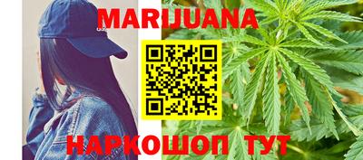 индика Новодвинск