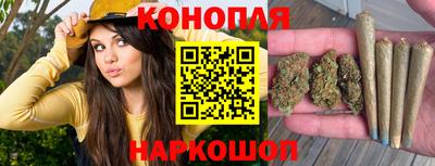 скорость Новокубанск