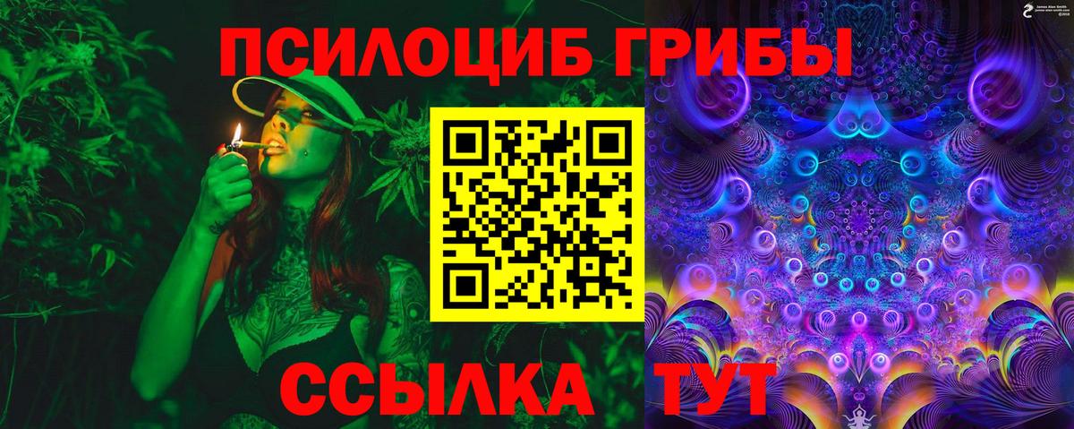 Прокопьевск  купить  цена  Вход с VPN  Галлюциногенные грибы Psilocybine cubensis 